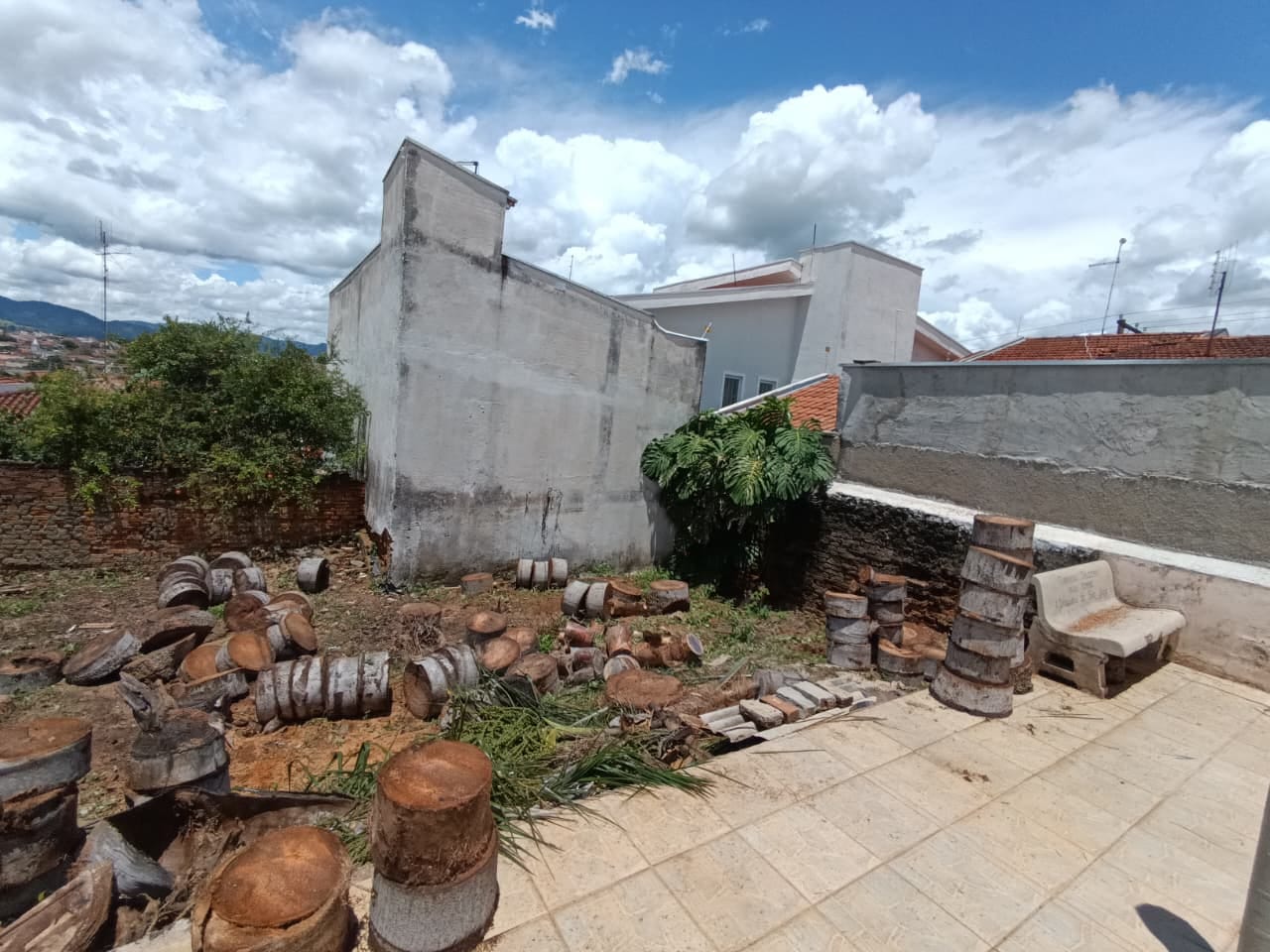 Trabalho de manejo arbóreo em via pública