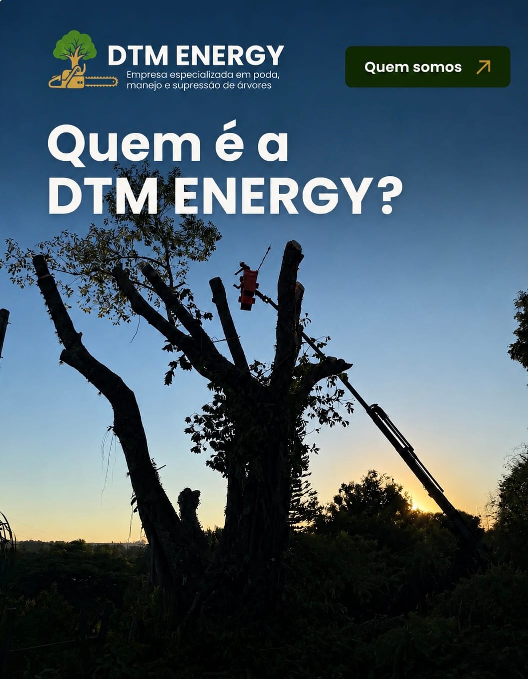 Quem é a DTM Energy — empresa especializada em poda, manejo e supressão de árvores
